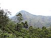 DSCN2221.JPG