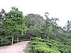 DSCN2223.JPG