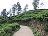 DSCN2225.JPG