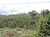 DSCN2238.JPG