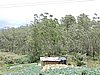 DSCN2239.JPG