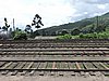 DSCN2249.JPG