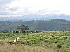 DSCN2257.JPG