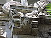 DSCN2313.JPG