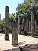 DSCN2384.JPG