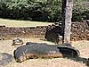 DSCN2395.JPG