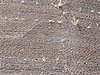 DSCN2412.JPG