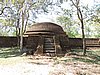 DSCN2417.JPG