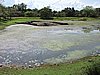 DSCN2437.JPG