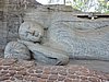 DSCN2446.JPG
