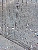 DSCN2451.JPG