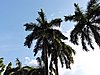 DSCN2460.JPG