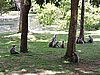 DSCN2463.JPG