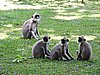 DSCN2464.JPG