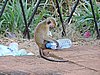 DSCN2493.JPG