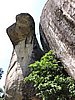 DSCN2505.JPG