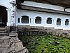 DSCN2533b.JPG