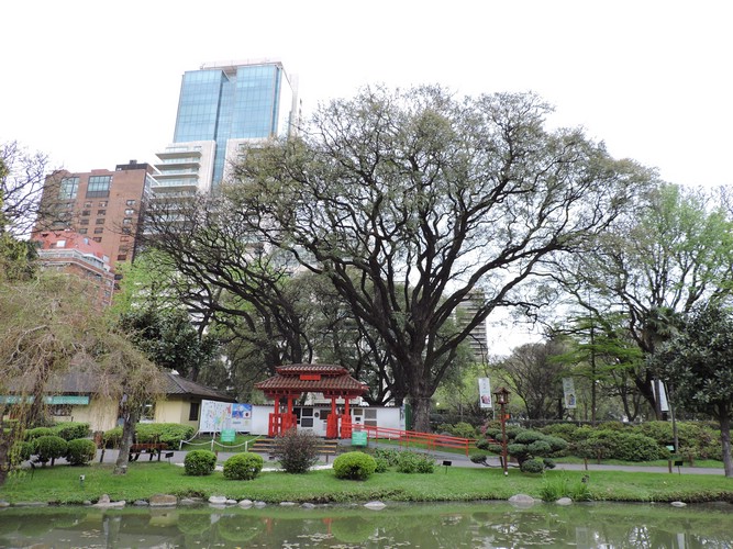 DSCN6795.JPG