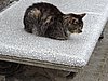 DSCN6774.JPG