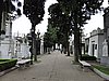 DSCN6787.JPG