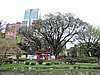 DSCN6795.JPG