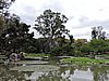 DSCN6800.JPG