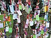 DSCN6802.JPG