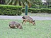 DSCN6806.JPG