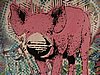 DSCN6920.JPG