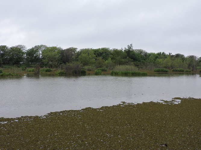 DSCN7416.JPG