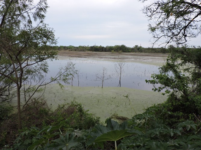 DSCN7430.JPG