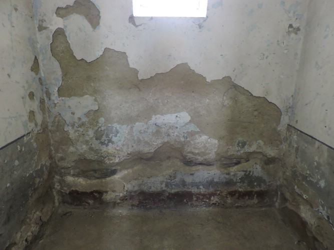 DSCN7512.JPG