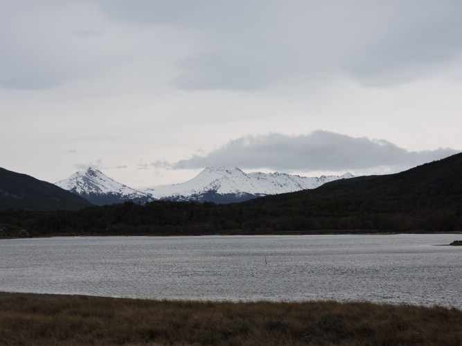 DSCN7531.JPG
