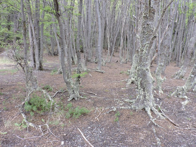 DSCN7540.JPG