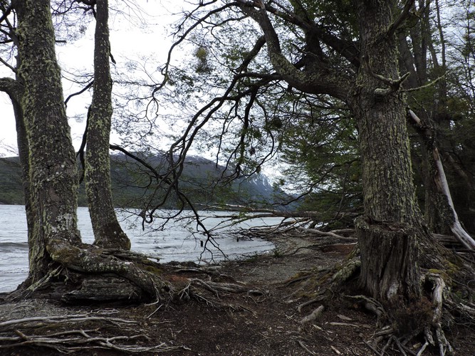 DSCN7547.JPG