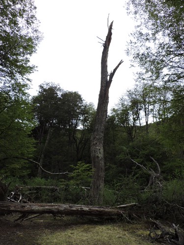DSCN7548.JPG