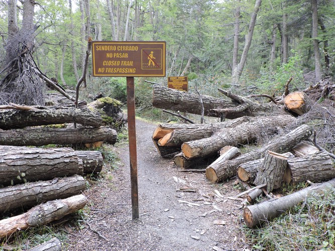 DSCN7555.JPG