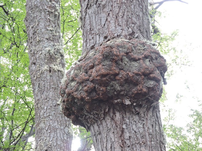 DSCN7558.JPG