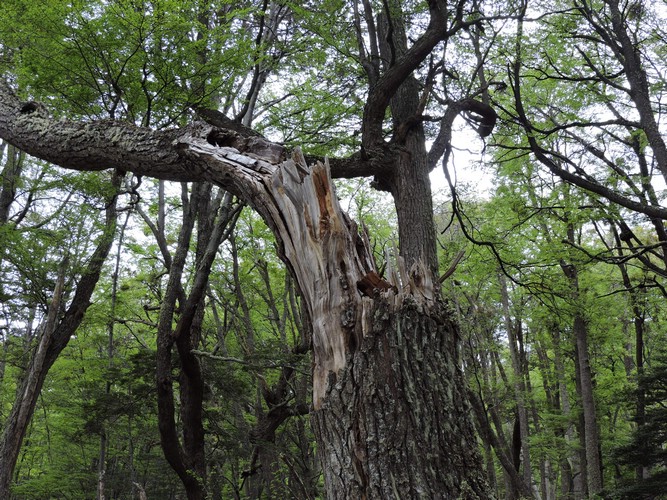 DSCN7560.JPG