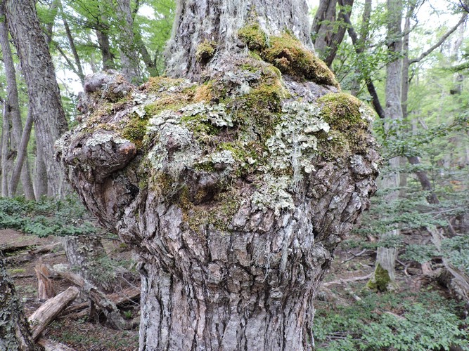 DSCN7562.JPG