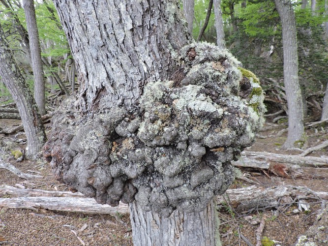 DSCN7566.JPG