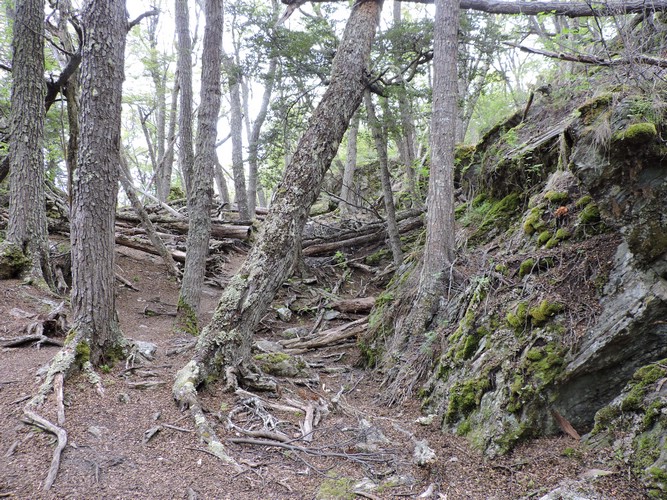 DSCN7568.JPG