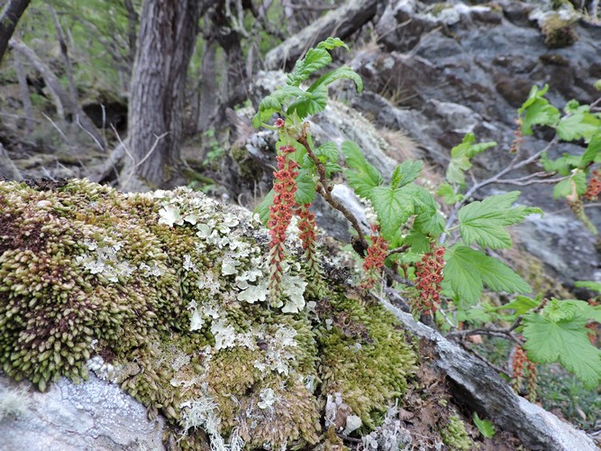 DSCN7579.JPG