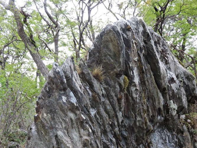DSCN7580.JPG