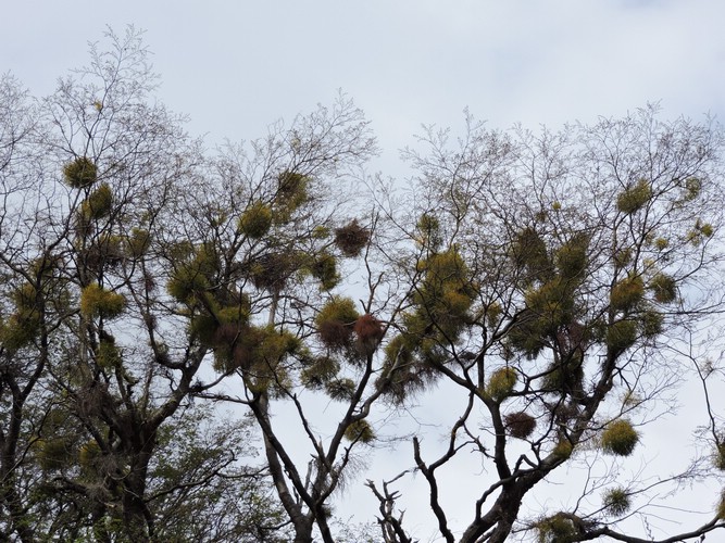 DSCN7581.JPG