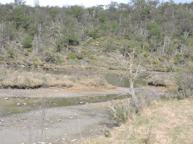 DSCN7586.JPG