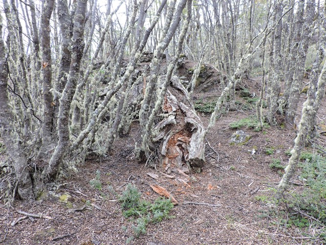 DSCN7593.JPG