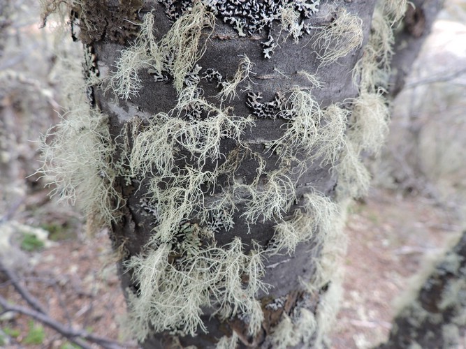 DSCN7594.JPG