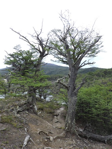 DSCN7598.JPG