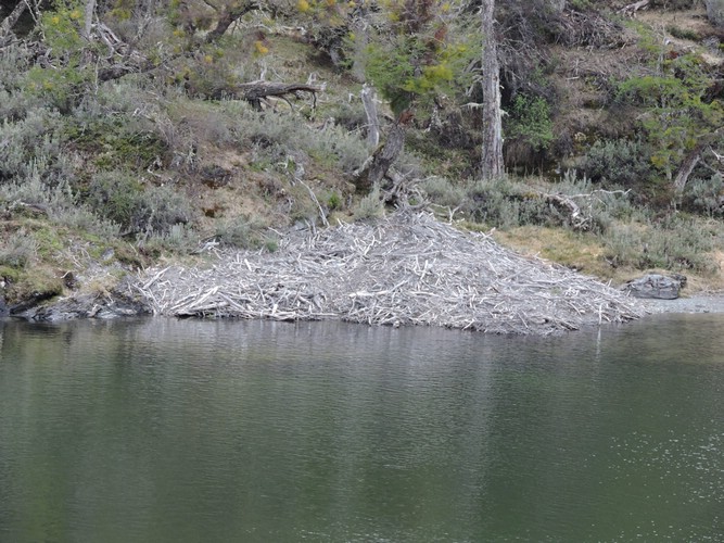 DSCN7601.JPG